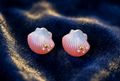 Buttoncover schelp